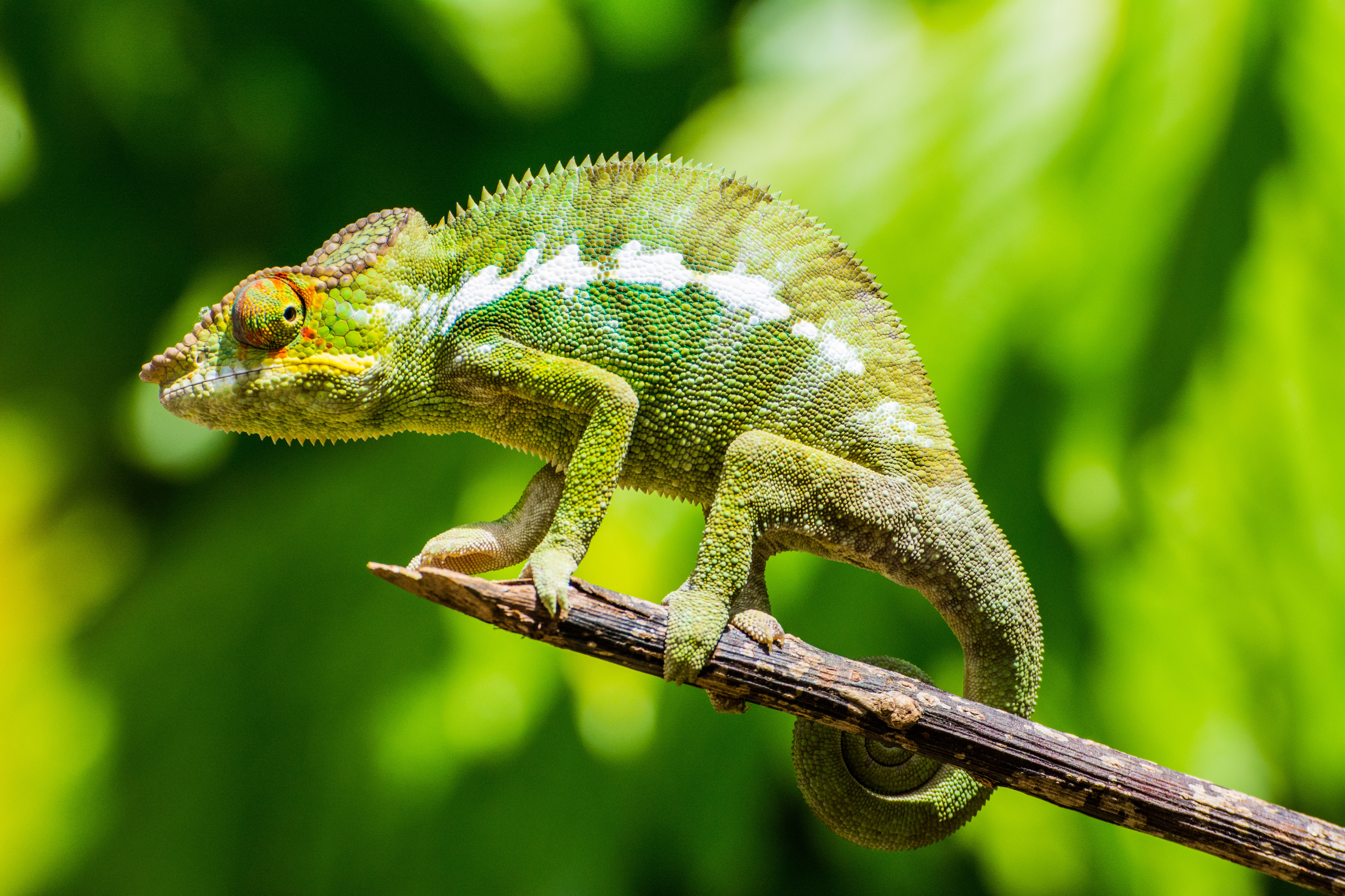 Nosy Be, Madagaskar