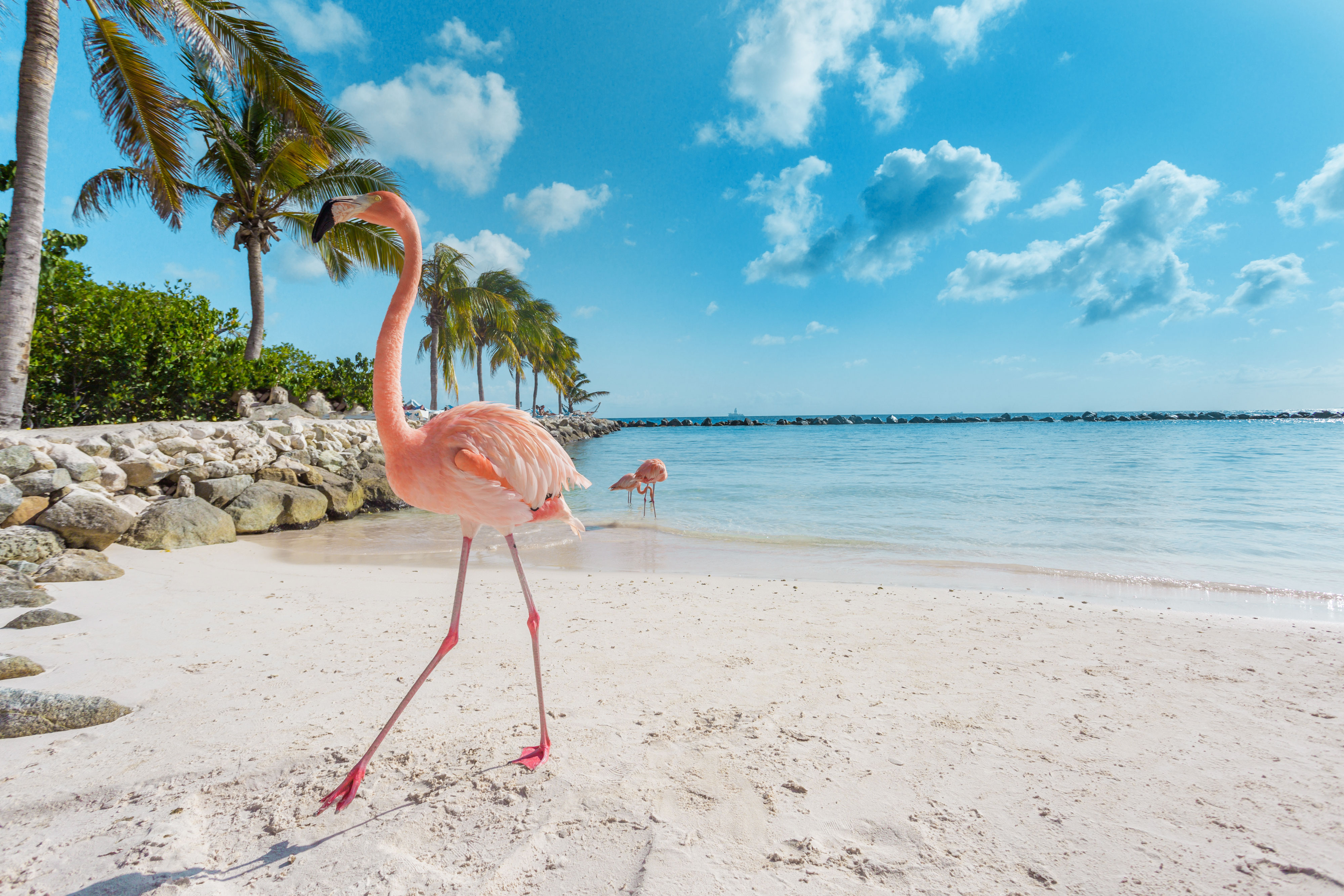 Oranjestad, Aruba