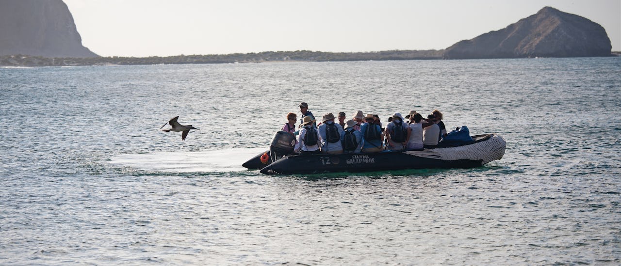 Zodiak båtene tar deg med på eventyr.