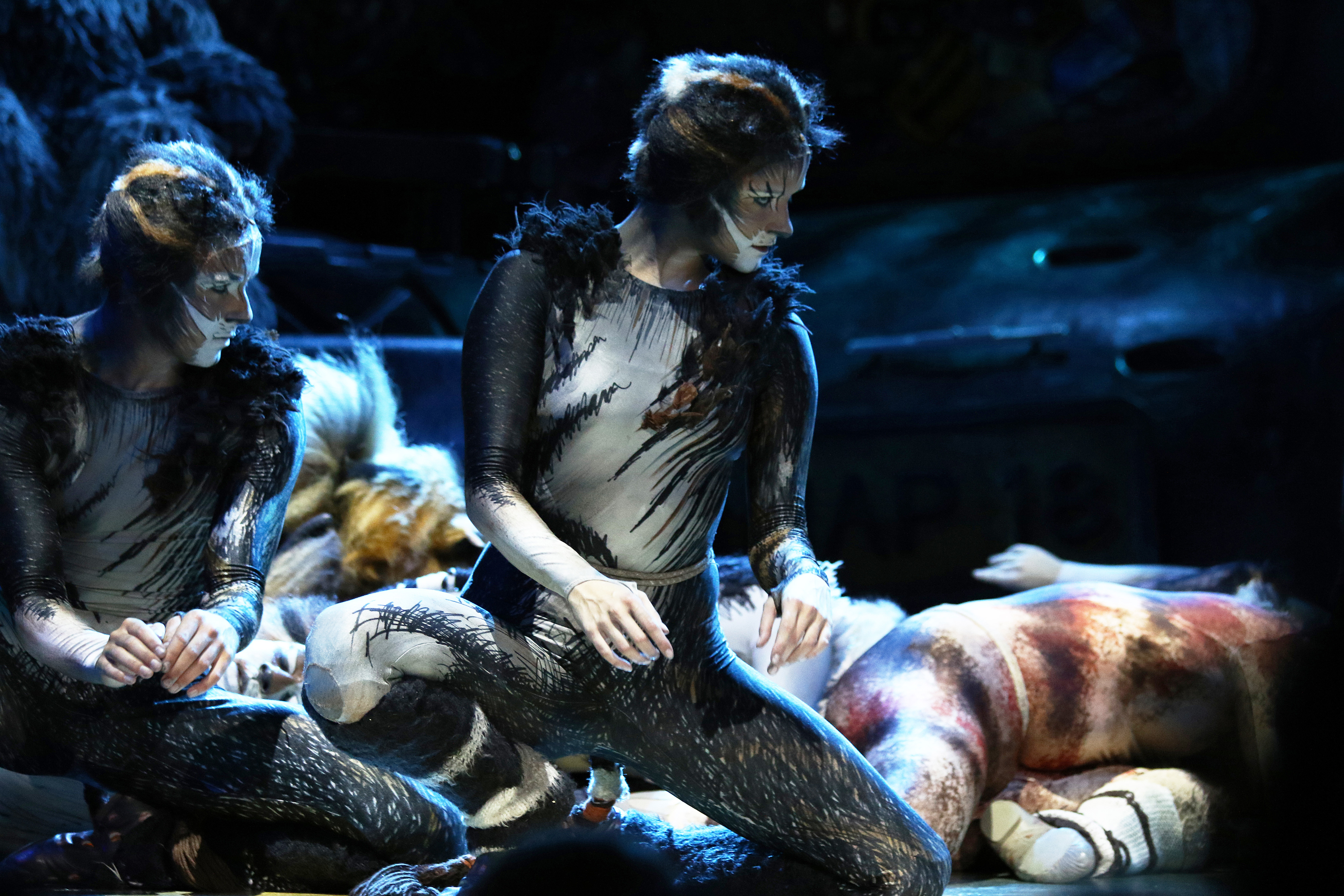 Se et 90 minutters påkostet sett av musikalen Cats.