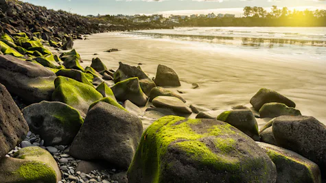 Timaru, New Zealand