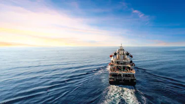 MV La Belle des Océans, Kanariøyene