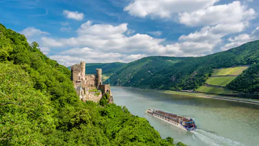 AmaLea, Donau