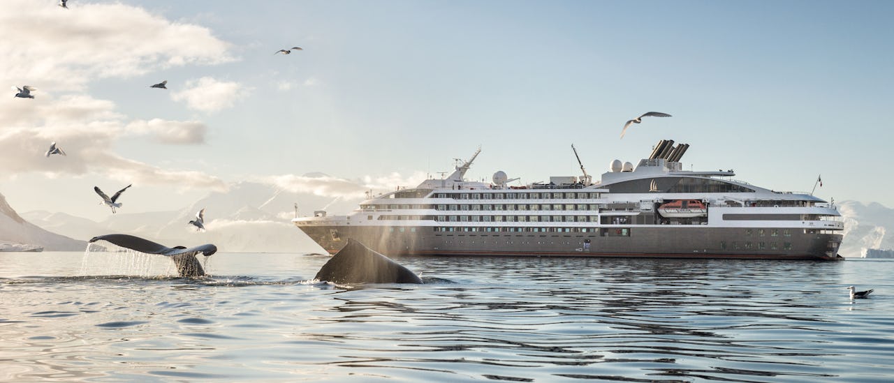 Le Soléal er utstyrt med et forsterket skrog som egner seg for utstillingscruise til Antarktis, Svalbard og andre eksotiske destinasjoner.