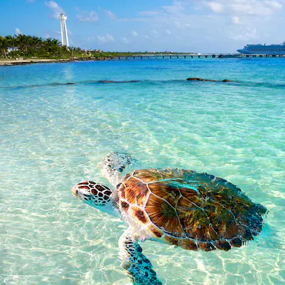 Høsten 2026 er klar for deg!