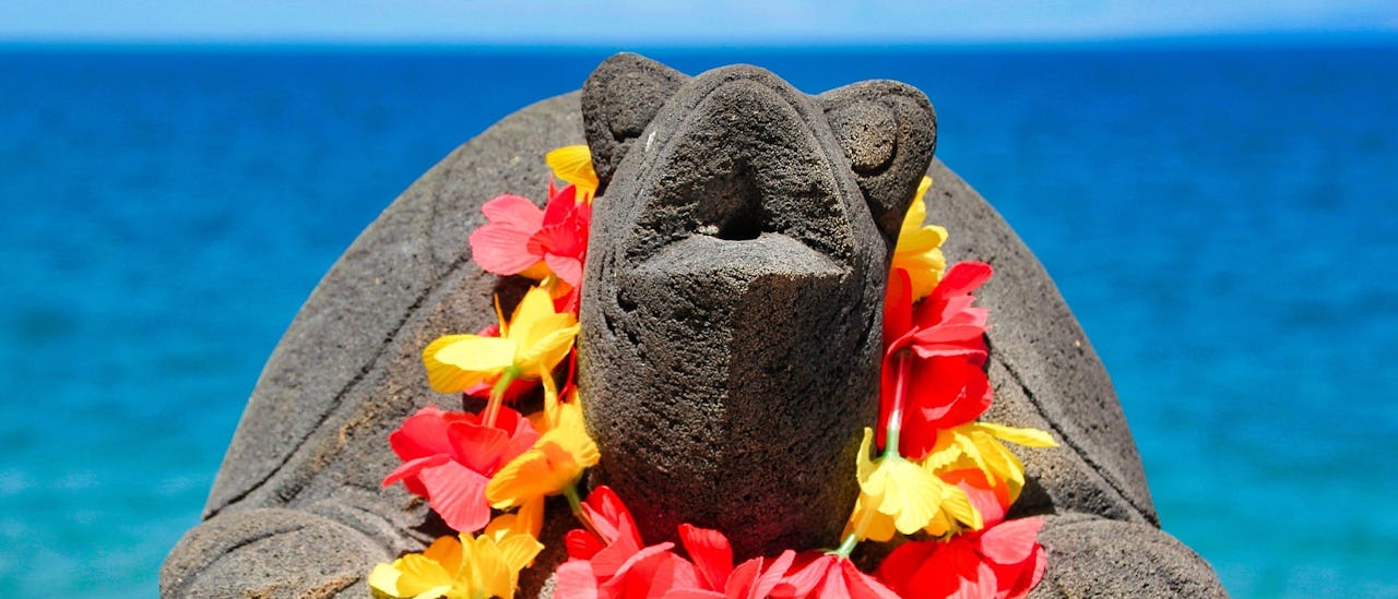 Lei blomsterkrans på en skilpadde