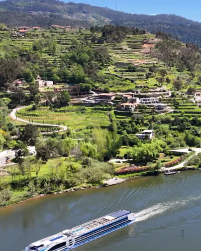 Elvecruise på Douro med grønne vinmarker - Porto Mirante