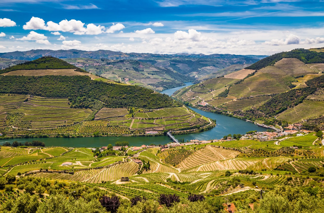 Douro dalen