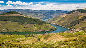 Douro dalen